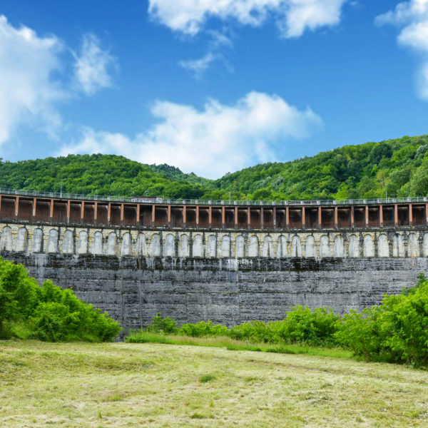 Брана Грошница Насловна