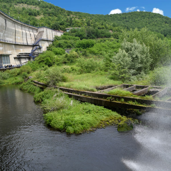 Брана Гружа 7