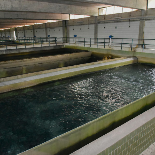 Филтер поља Гружа 1