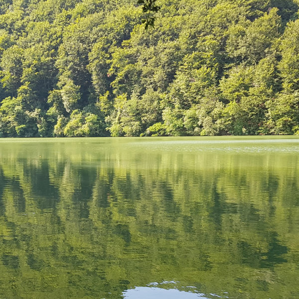 Грошница брана 1