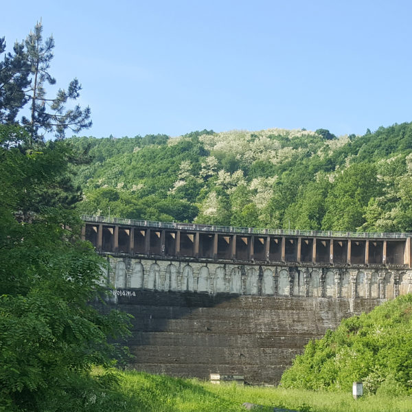 Грошница брана 3