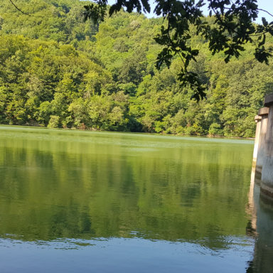 Грошница брана
