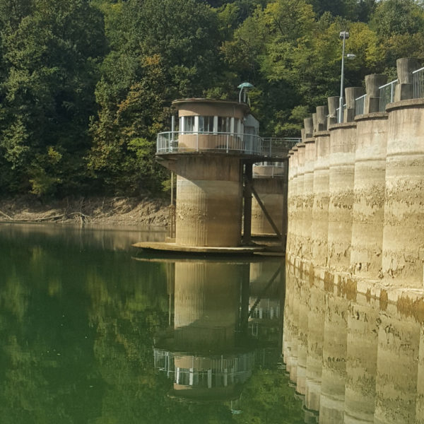 Грошница брана 5