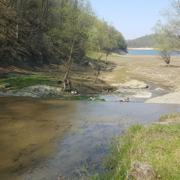 Грошнича река улив