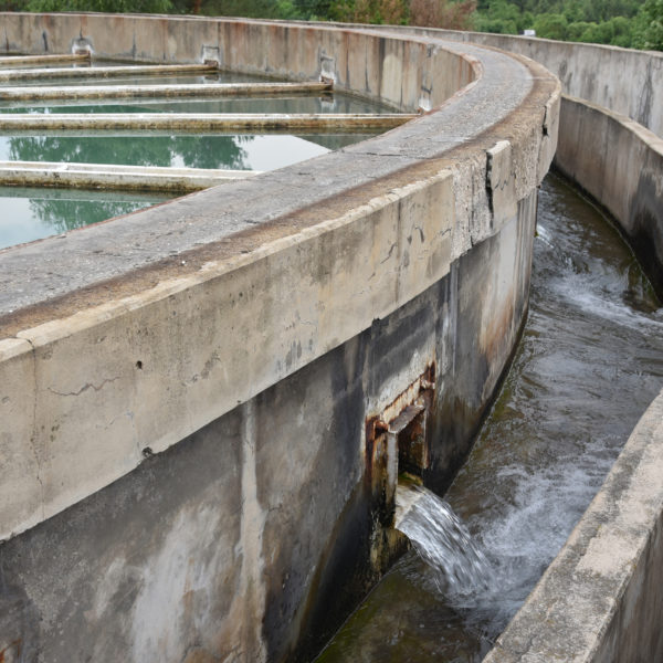 Коагулатор